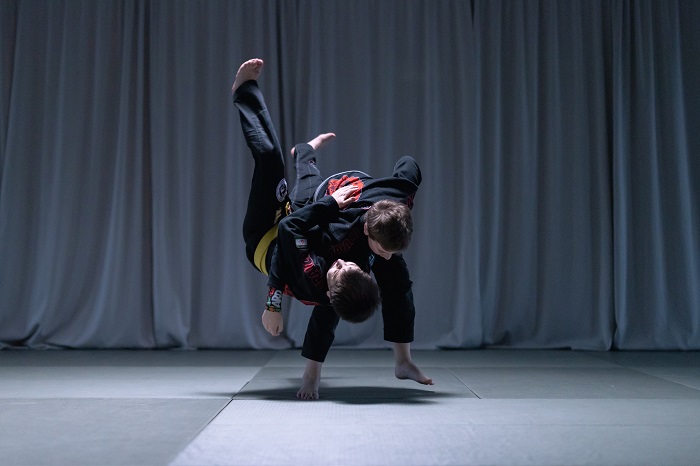 Which Martial Arts Form Emphasizes Overall Body Fitness?
